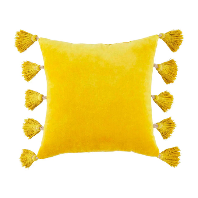Velvet Tassel Pillow
